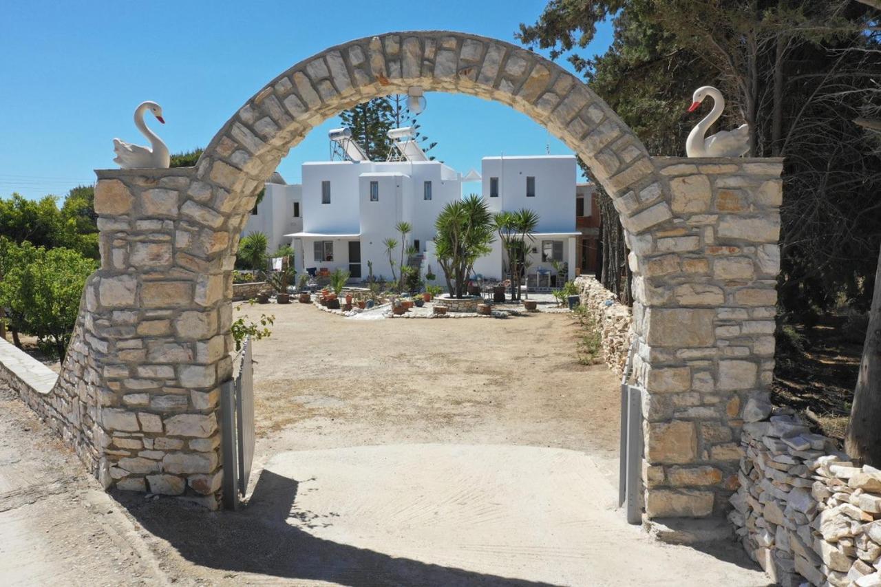 Kiki's Veranda Dream