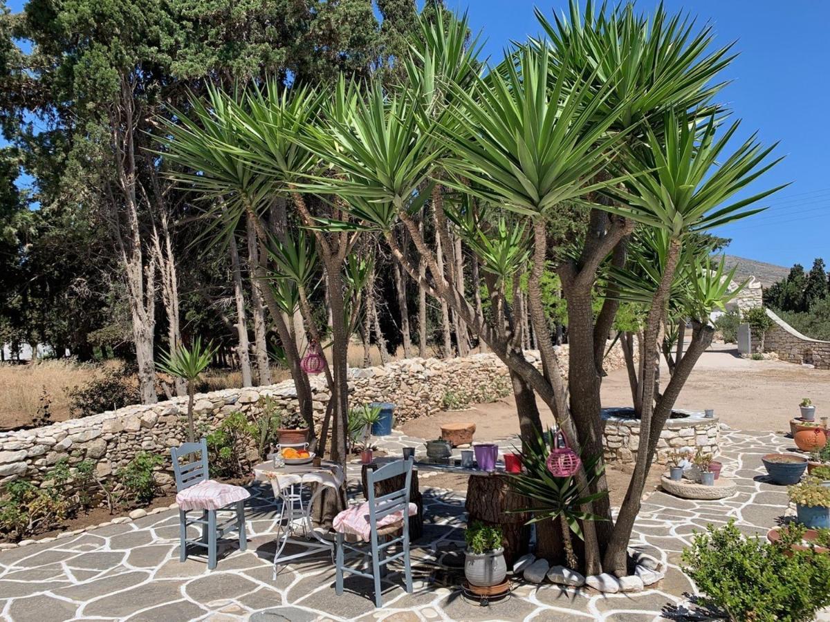 Kiki's Veranda Dream Chrisi Akti (Paros)