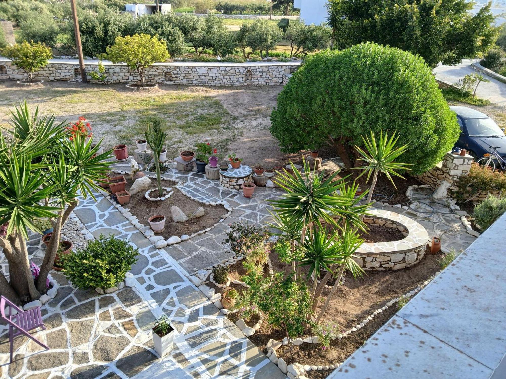 Kiki's Veranda Dream