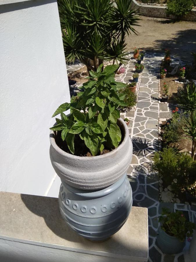 Kiki's Veranda Dream * Chrisi Akti (Paros)